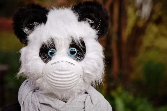 Казино Марс Бет Поддръжка